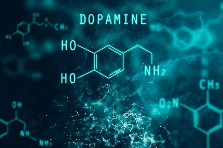 La dopamine
